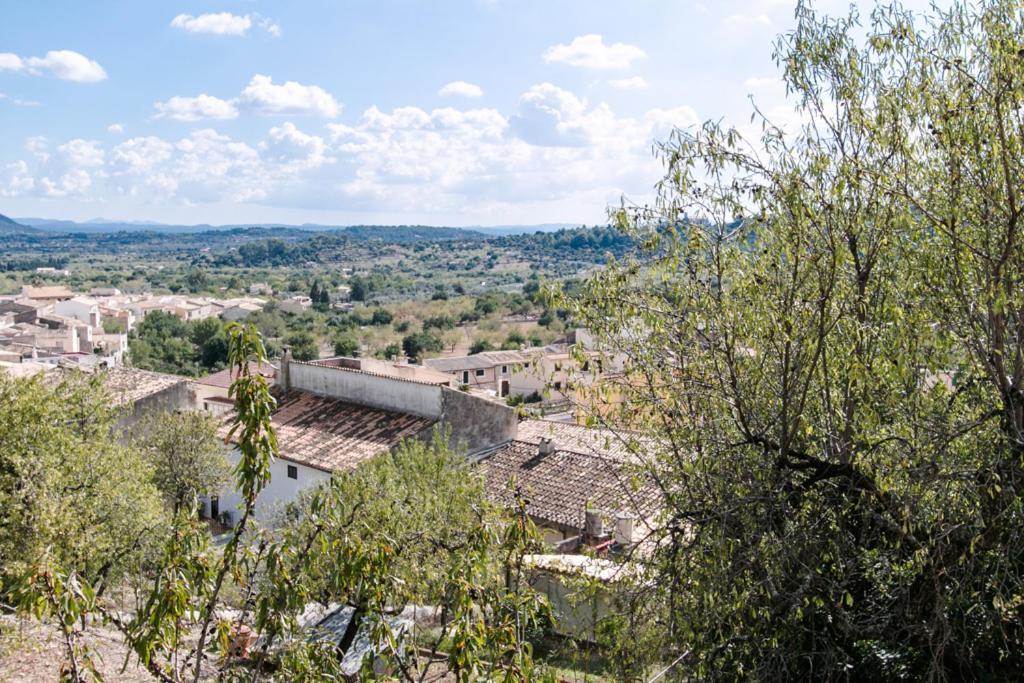 Can Rasca Selva (Mallorca)